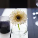 ô Restaurant 3*