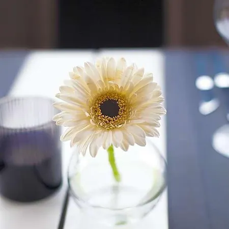 فندق O Restaurant