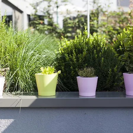 O Restaurant 3* 杜柏