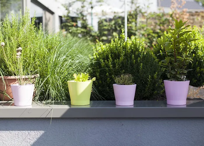 O Restaurant 3* Durbuy